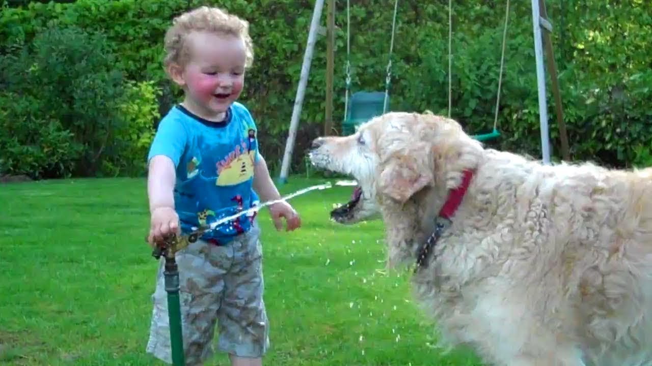 Riendo Bebés Jugando Con Perro y Agua|| Gracioso Bebé y Mascota