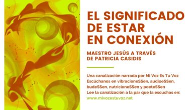 EL SIGNIFICADO DE ESTAR EN CONEXIÓN – Canalización del Maestro Jesús a través de Patricia Casidis