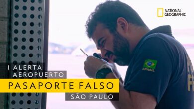 ¿Miente sobre su nacionalidad en el control de frontera? | Alerta Aeropuerto São Paulo