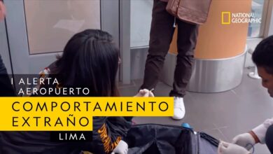 Lo descubren y se empieza a comportar de manera extraña | Alerta Aeropuerto Lima