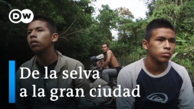Perú – Jóvenes entre la selva amazónica y Lima | DW Documental