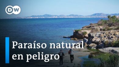 La lucha por una laguna limpia en España | DW Documental