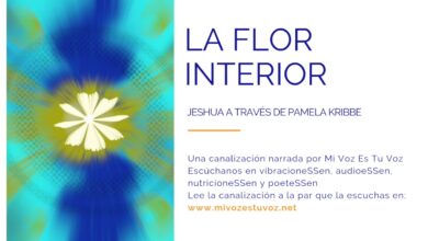 LA FLOR INTERIOR – Jeshua a través de Pamela Kribbe | Canalización
