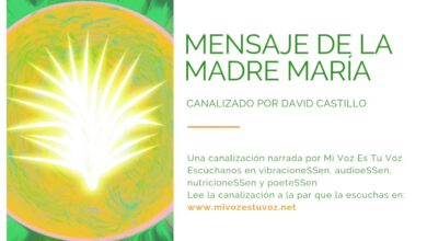 MENSAJE DE LA MADRE MARÍA | Canalización