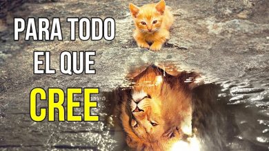 SI CREES TODO ES POSIBLE-Si de verdad puedes creer SUCEDERÁ Neville Goddard