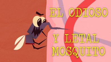 El odioso y letal mosquito – Rose Eveleth