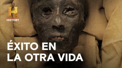 ÉXITO EN LA OTRA VIDA – ALIENÍGENAS ANCESTRALES