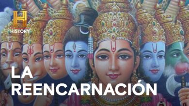 LA REENCARNACIÓN – ALIENÍGENAS ANCESTRALES