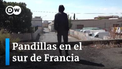 Los cárteles de Marsella – Guerra de drogas y asesinatos por encargo | DW Documental