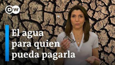 Cómo la agricultura y la industria secan los recursos hídricos de América Latina