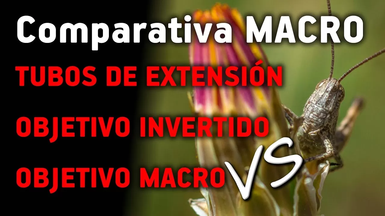 Comparativa MACRO: Tubos de Extensión – Objetivo Invertido – Objetivo Macro