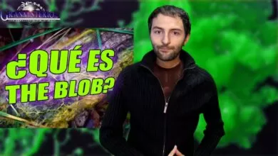 Blob, el extraño organismo que ha sorprendido al mundo